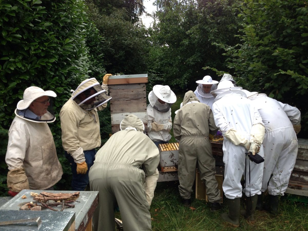 2023 Beginners Beekeeping Course North Herts BKA